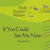Debi Sander Walker - If You Could See Me Now (Live)